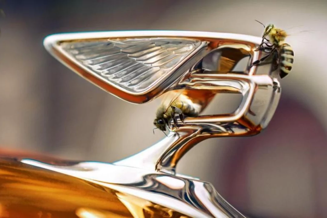 Компания Bentley продвигает «зелёные» инициативы — вслед за планами по созданию крупнейшего в Соединённом Королевстве крытого паркинга на фотоэлектрических элементах, британский автопроизводитель решил внести посильный вклад в обеспечение биологического разнообразия.