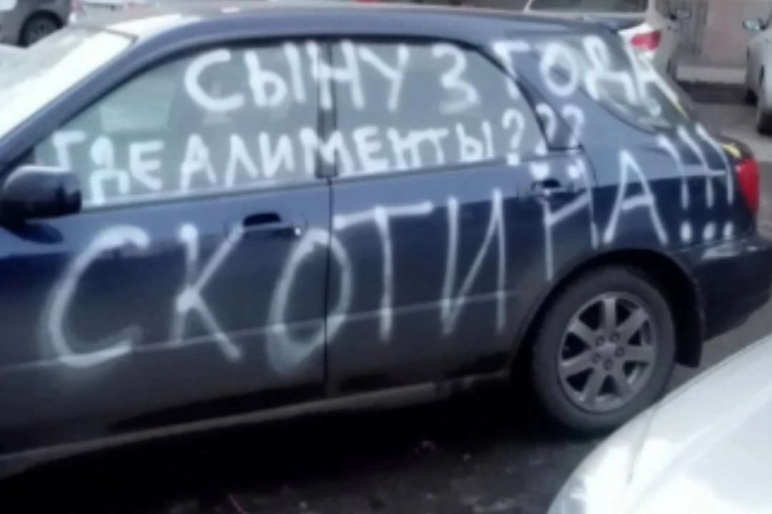 Следующие изображения