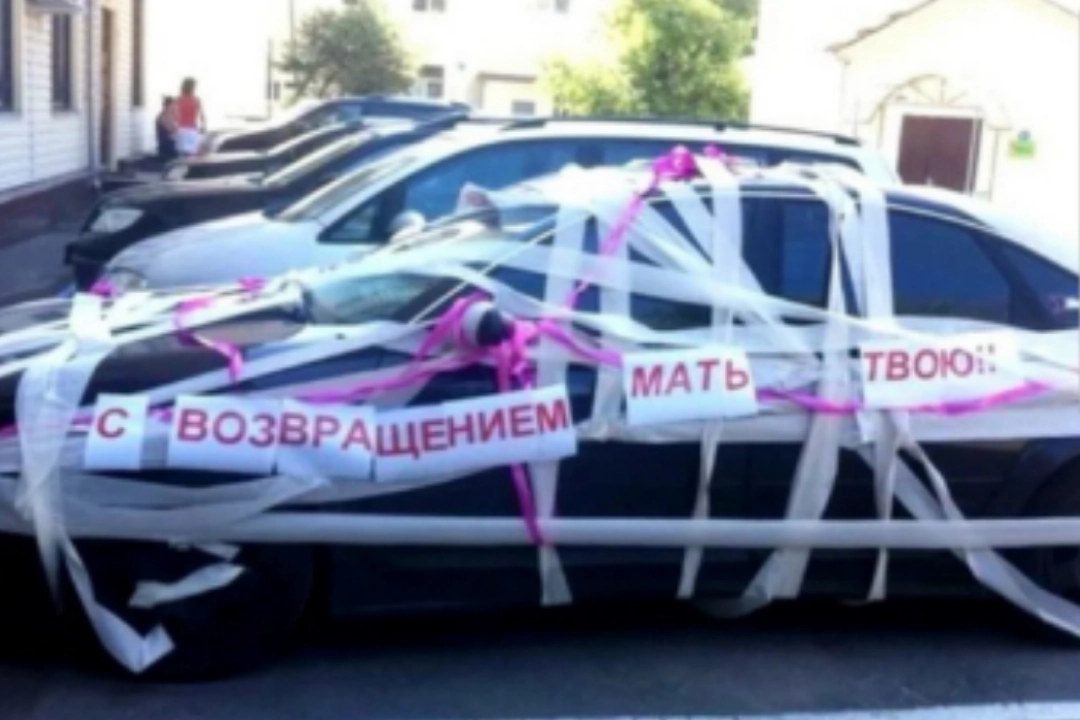 Следующие изображения