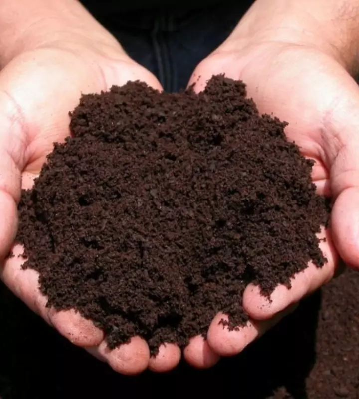 Главное предназначение торфа в садово-огородном хозяйстве - улучшать качество почвы, при этом  питательность ее не повышается.