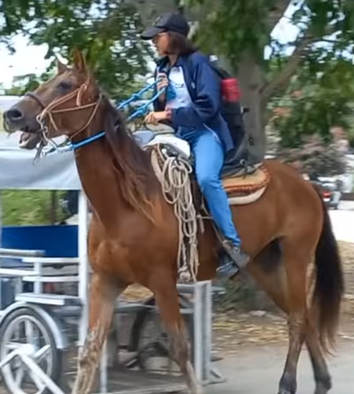 15-летняя Анхелес Жасмин должна преодолевать около 3,5 километров в день, чтобы добраться из своего дома в колледж. Чтобы сэкономить время, она делает это на собственной лошади.