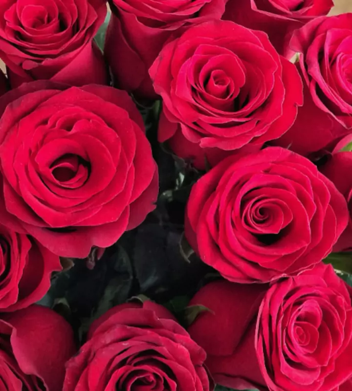 Розы - это очень красивые цветы, их любят почти все, поэтому стараются продлить жизнь подаренных букетов или размножить их.