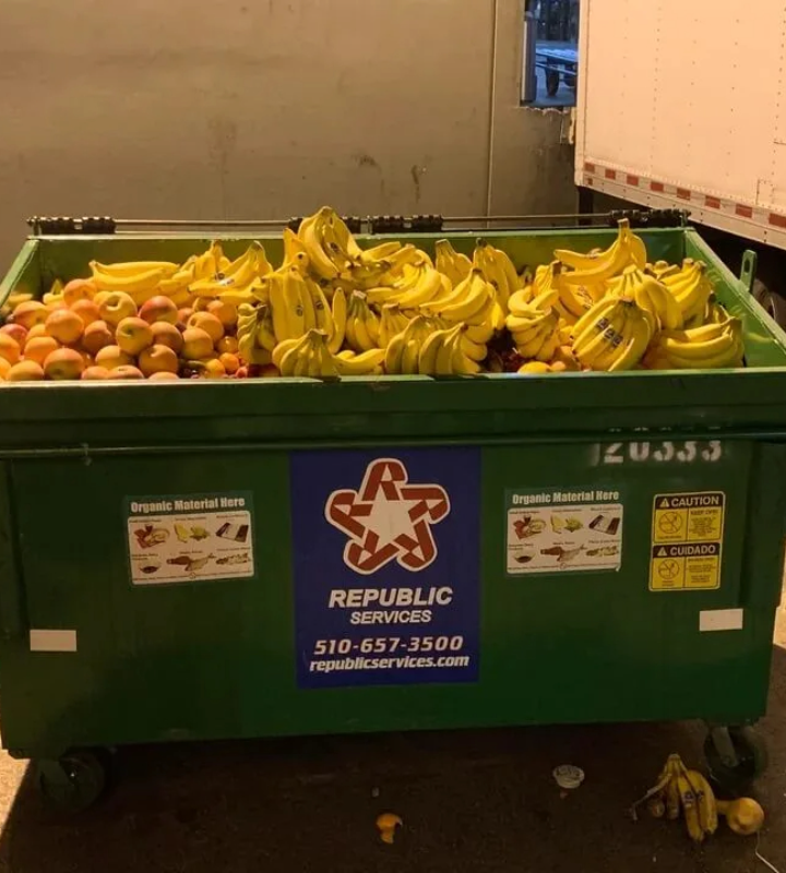 Компания превратила мусорный контейнер в настоящий рог изобилия фруктов, из-за чего один человек вышел в социальные сети, чтобы выразить свое разочарование.