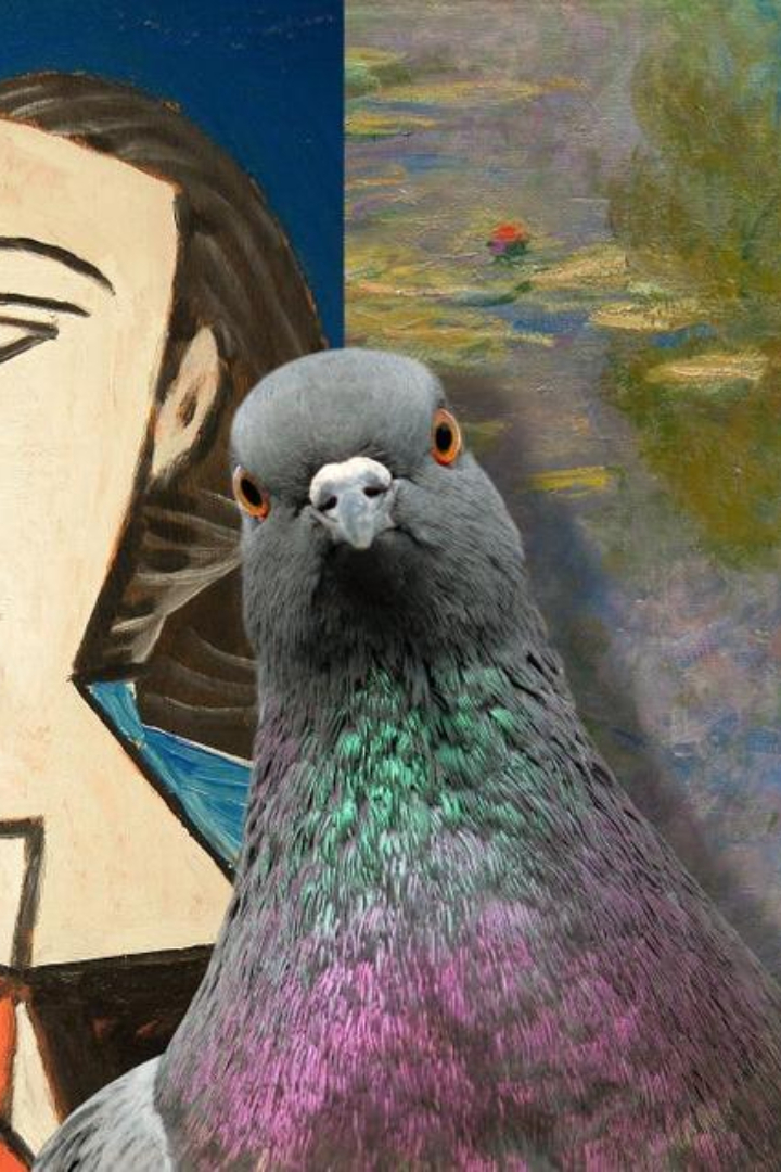 В одном эксперименте голубям показывали картины: птицам из первой группы давали пищу, если они нажимали клювом кнопку при демонстрации работы Пикассо, а птицам из второй группы — при демонстрации работы Моне. 