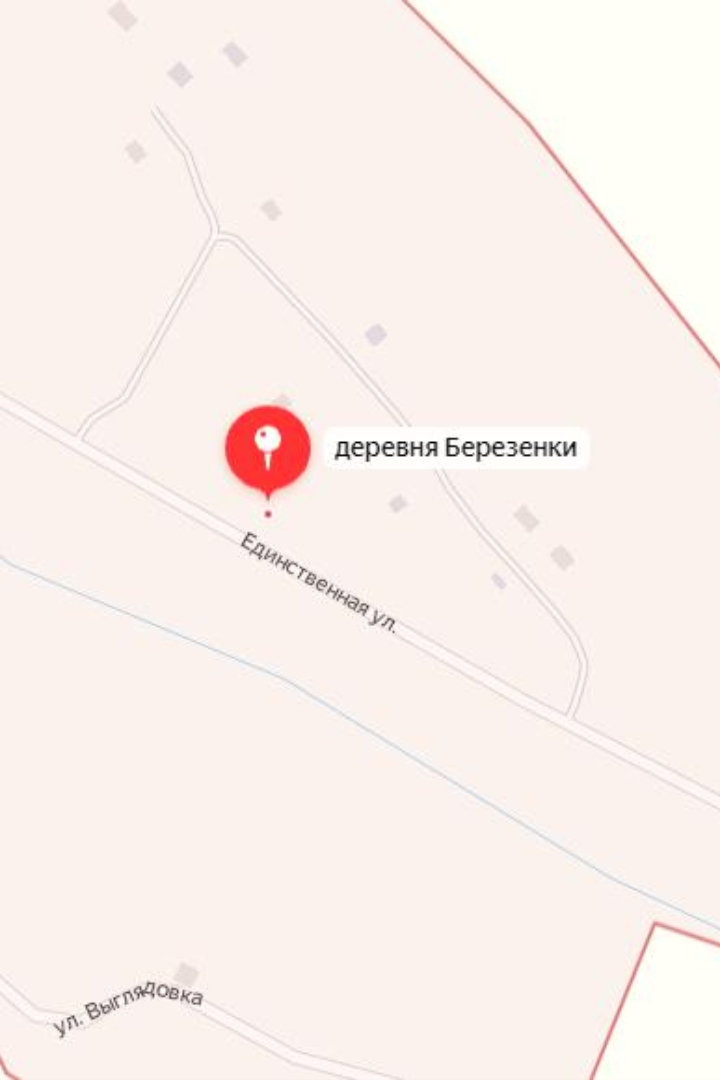 Центральная улица деревни Березенки в Калужской области носит название Единственная.