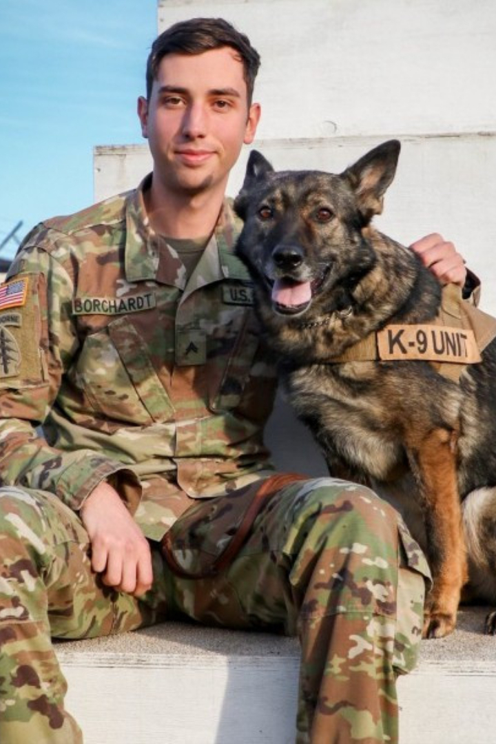Служебных собак в американской армии принято относить к младшему командному составу — им присваивается звание капрала или сержанта. 