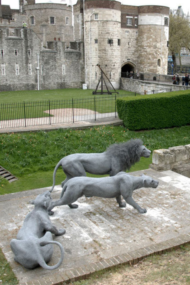 Король Англии Генрих III, получив в подарок от императора Священной Римской империи трёх львов, поселил их в одной из башен Тауэра.