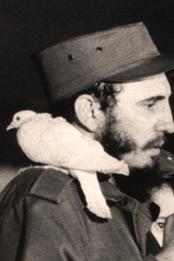 После кубинской революции, в январе 1959 года, Фидель Кастро выступил с первым телеобращением к гражданам