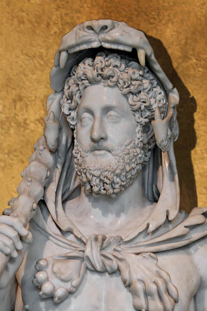 Римский император Коммод любил выступать на арене в качестве гладиатора, несмотря на то что такие бои считались уделом рабов. 