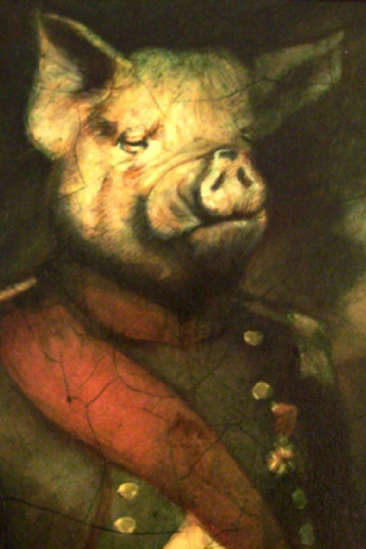 Главную свинью в антиутопии Оруэлла «Скотный двор» зовут Наполеон. 