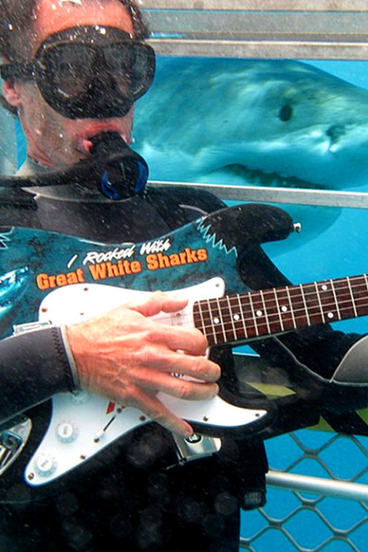 Австралиец Мэтт Уоллер занимается организацией подводных туров для любителей посмотреть на акул.