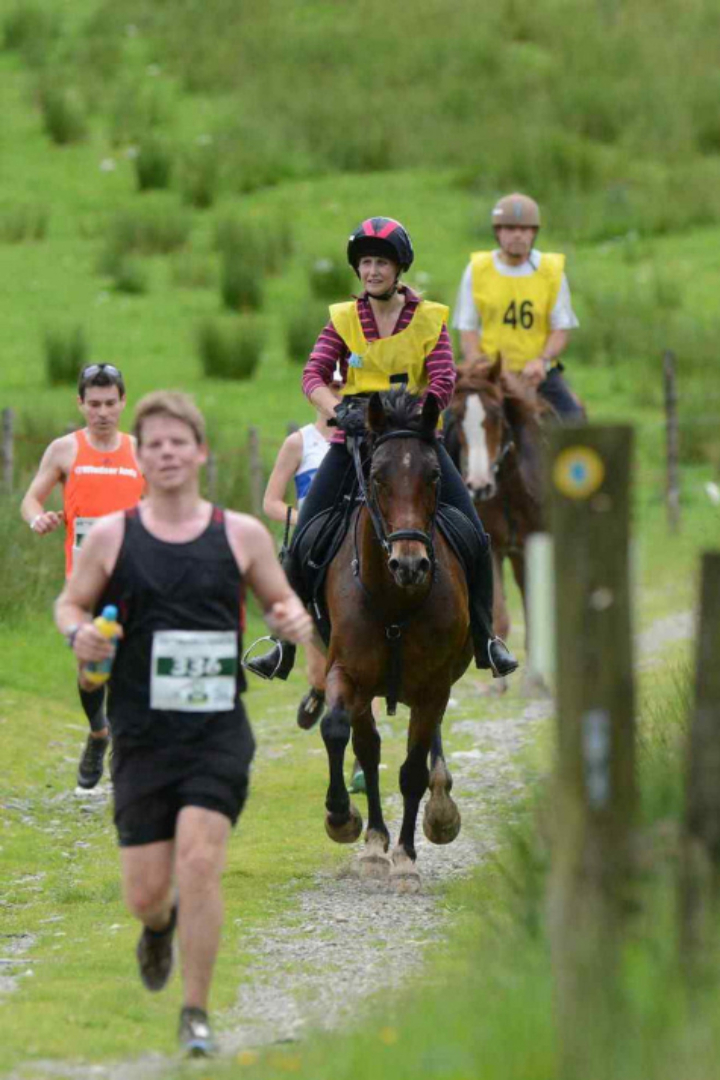 Начиная с 1980 года в Уэльсе проходит ежегодный марафон по пересечённой местности длиной 35 км, в котором люди соревнуются одновременно с жокеями на лошадях.
