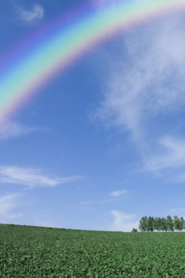 Солнечные лучи, проходя через капли дождя в воздухе, разлагаются в спектр, так как разные цвета спектра преломляются в каплях под разными углами.