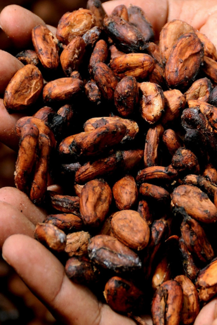 Ацтеки иногда использовали в качестве денег бобы какао. 