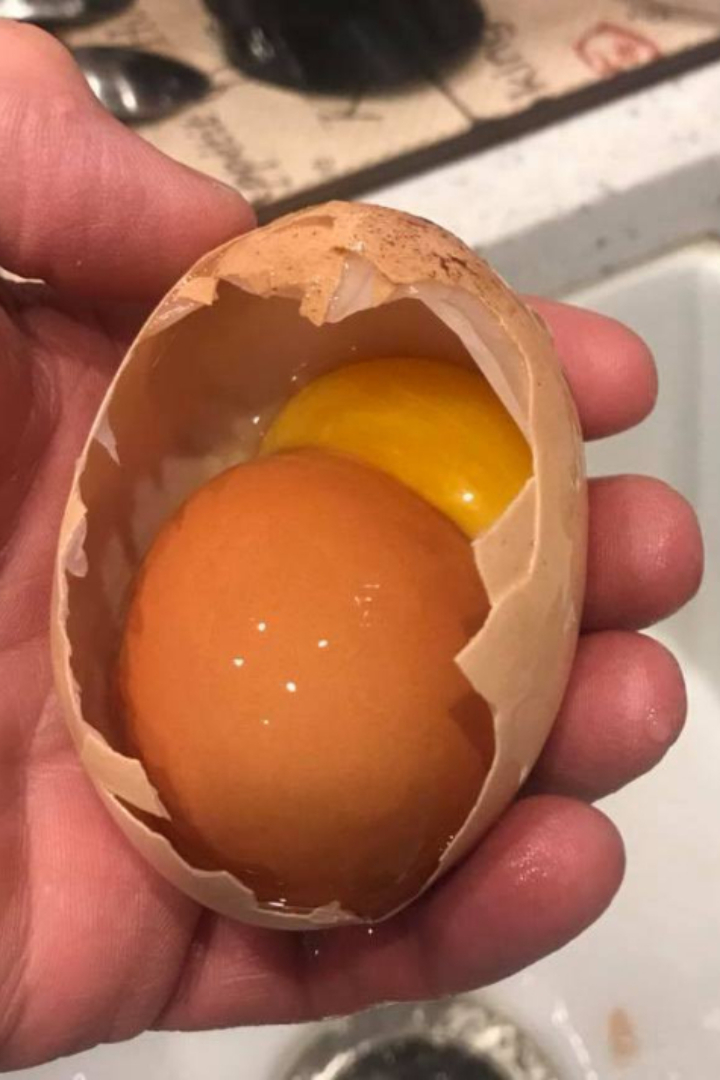 Существует очень редкий феномен, когда внутри птичьего (например, куриного) яйца находят ещё одно вложенное яйцо. 