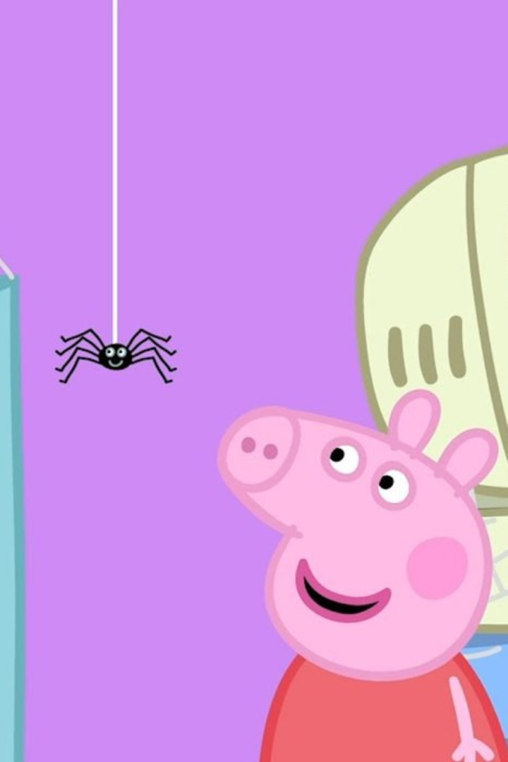В эпизоде «Mister Skinnylegs» мультсериала «Свинка Пеппа» герои находят в раковине паука, и Пеппа пугается его, пока не приходит к выводу, что с ним можно дружить. 