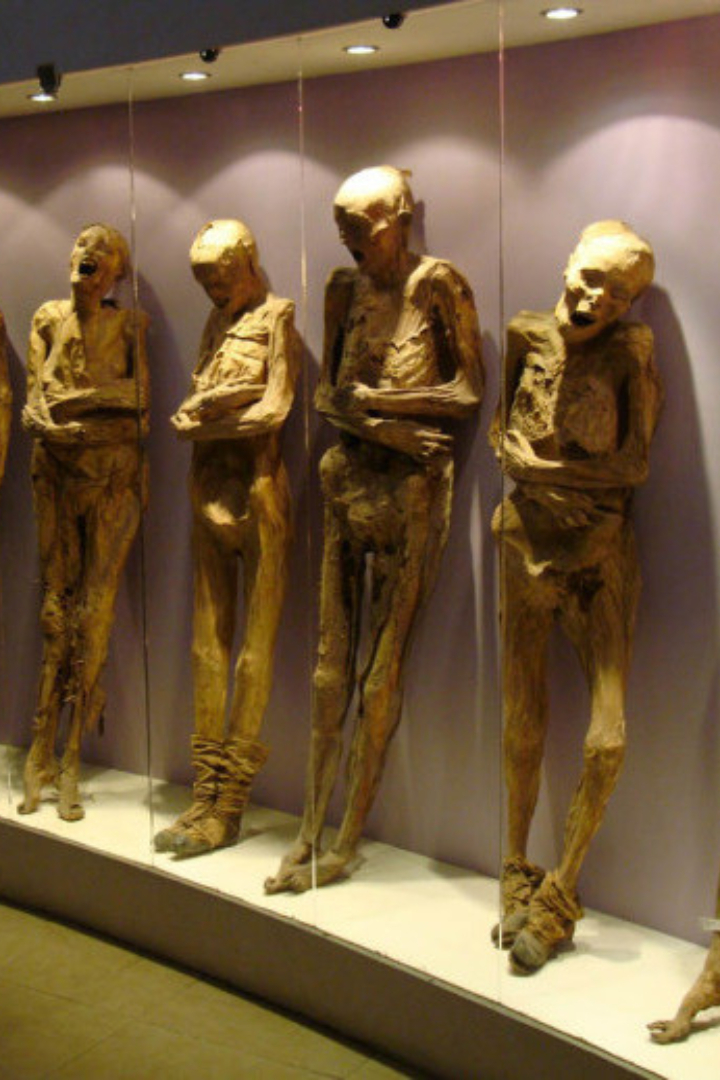 В мексиканском городе Гуанахуато находится музей мумий, экспозиция которого составлена из тел людей, мумифицированных естественным образом.