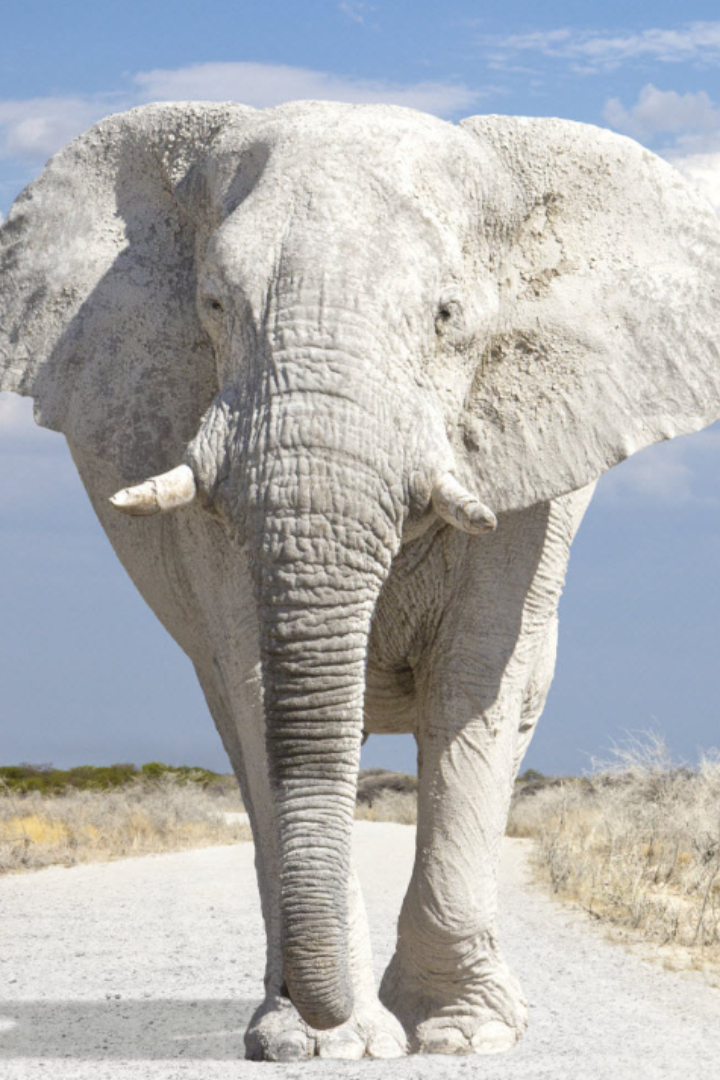 Приблизительным аналогом выражения «чемодан без ручки» в английском языке является идиома «white elephant» («белый слон»). 
