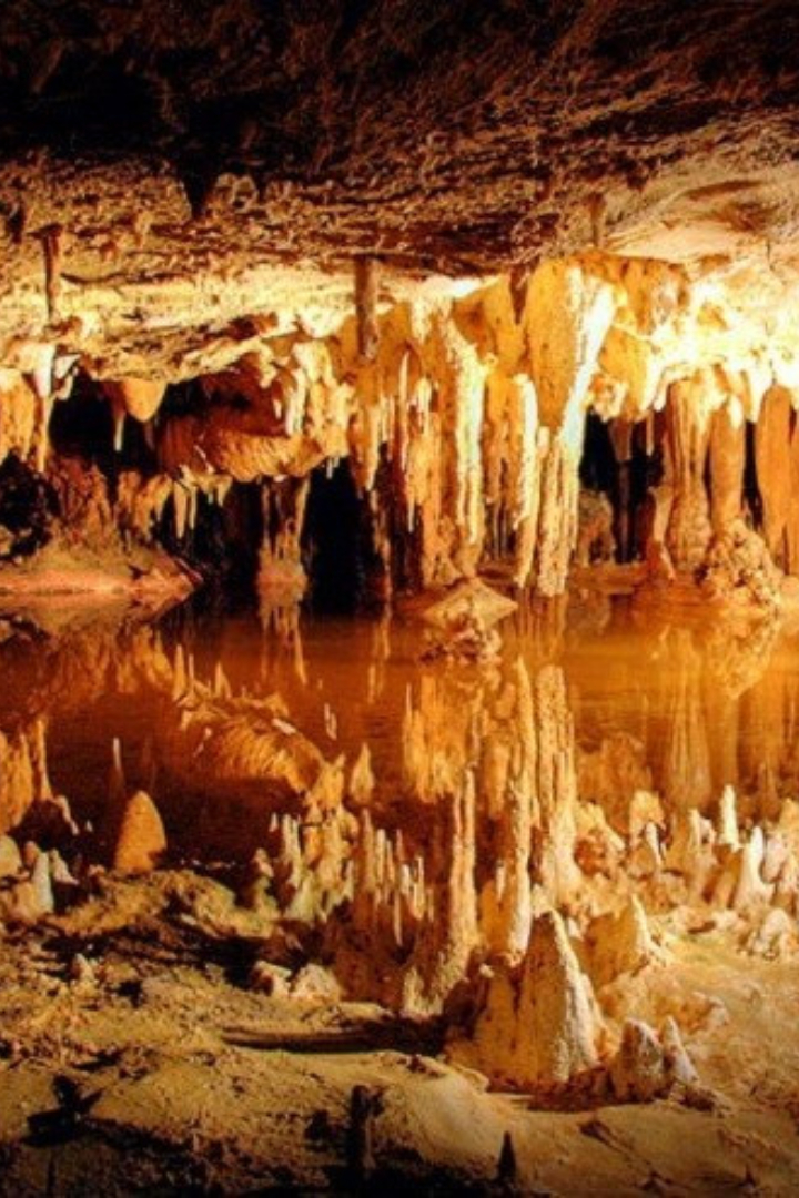 Самая длинная пещера в мире находится в США и называется Мамонтова, хотя никаких останков мамонтов там не находили. 