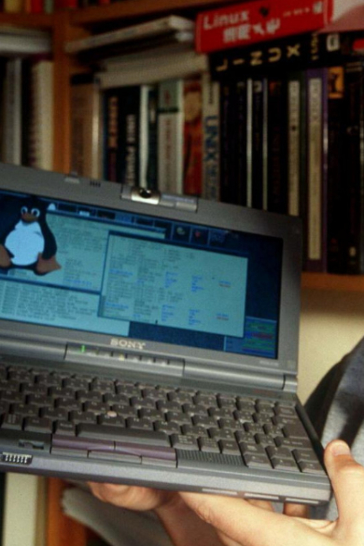 Линус Торвальдс использовал операционную систему Minix, однако был недоволен многими ограничениями в ней и решил написать свою систему. 