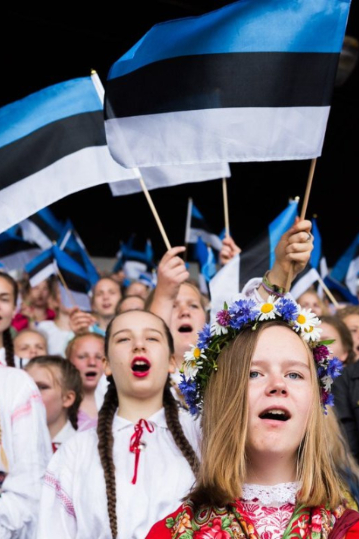 В 2005 году правительство Эстонии представило статистику распространённости фамилий среди своих граждан. 