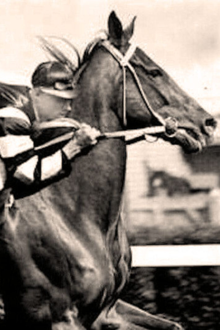 В 1923 году в Нью-Йорке проводились лошадиные скачки. 