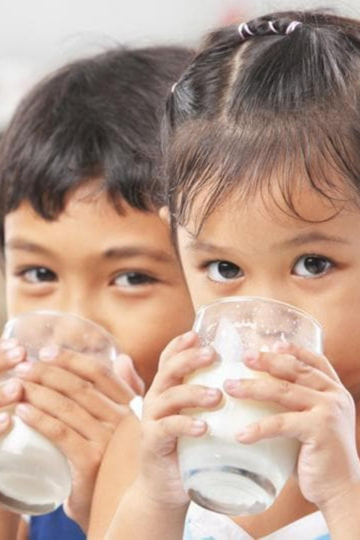 Человеческий организм переваривает молоко благодаря особому ферменту — лактазе, который изначально вырабатывался только в организме грудных детей, чтобы пить материнское молоко. 