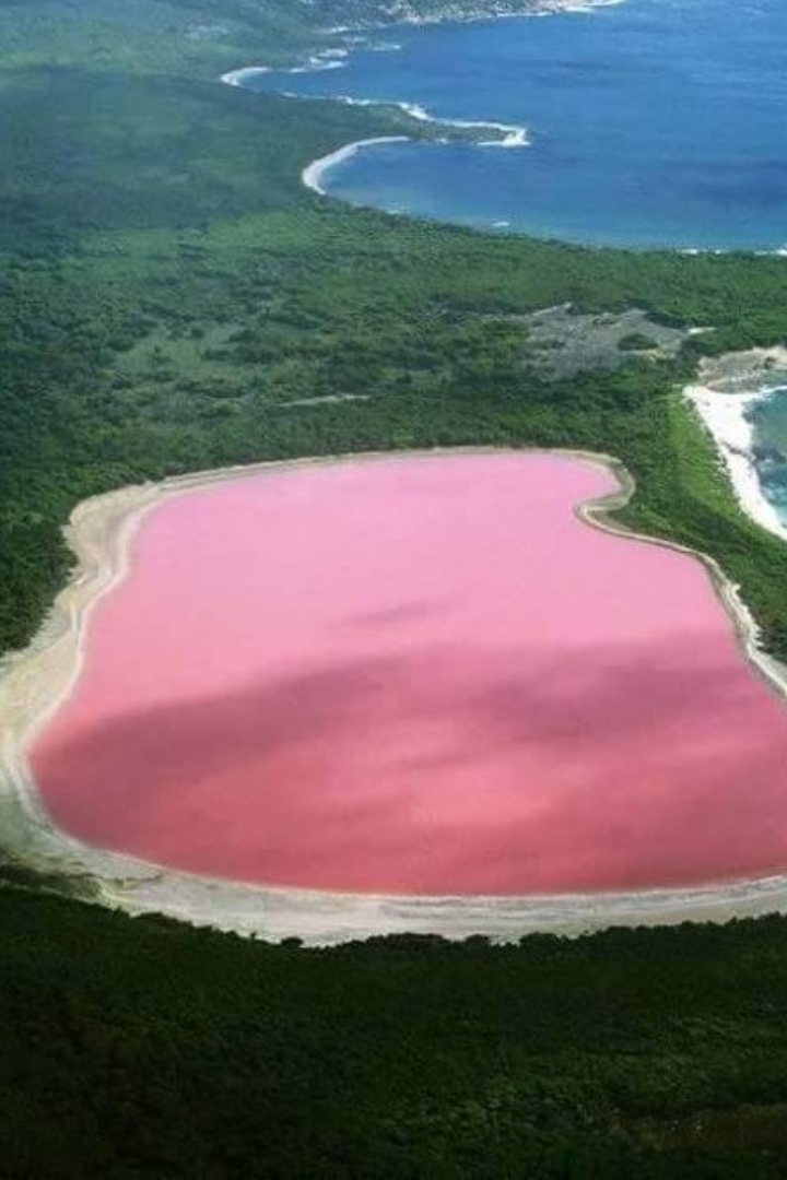 На острове Мидл-Айленд в архипелаге Решерш на юго-западе Австралии расположено озеро Хиллиер, примечательное водой розового цвета.