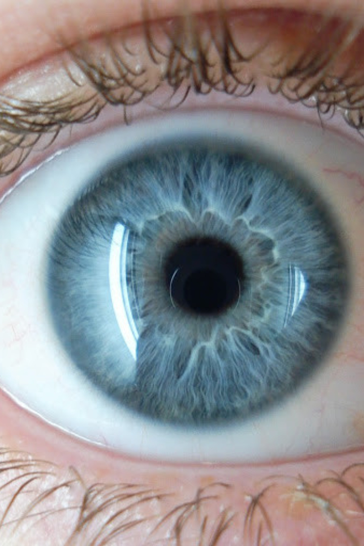 Голубой цвет глаз — это результат мутации в гене HERC2, из-за которой у носителей такого гена снижена выработка меланина в радужной оболочке глаза. 