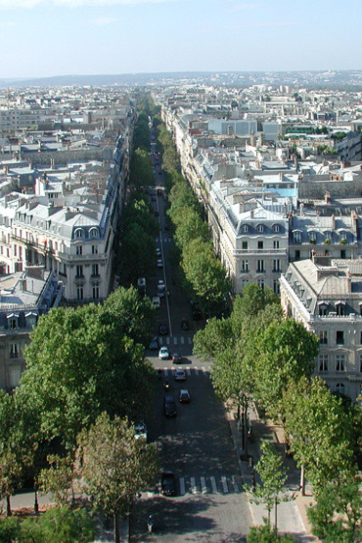Свои последние годы писатель Виктор Гюго жил в особняке на парижской улице, которую ещё при его жизни назвали авеню Виктора Гюго. 
