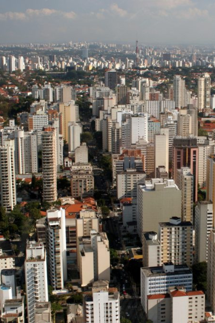 В одном из самых крупных мегаполисов мира — бразильском Сан-Паулу — избавились от наружной рекламы решением мэра в 2007 году. 
