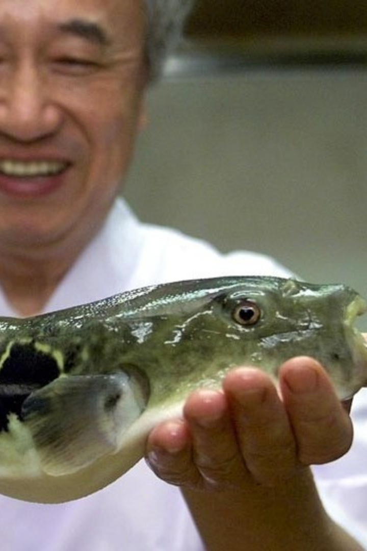 Самым изысканным деликатесом в японской кухне является рыба фугу. 