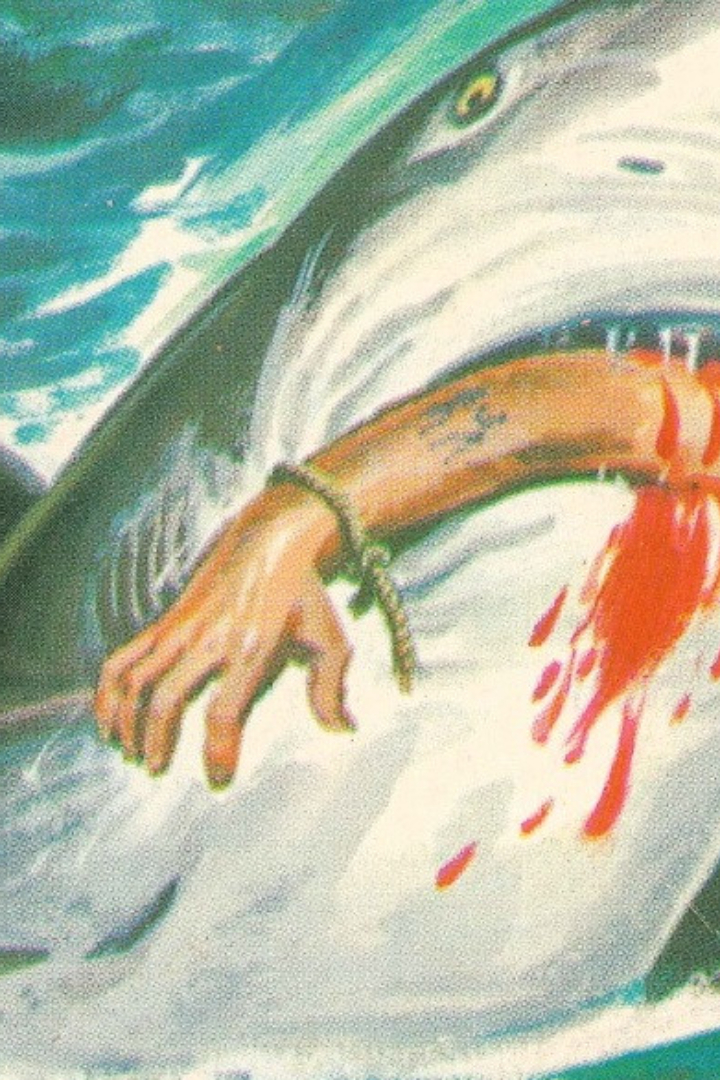 В июле 2001 года 8-летний Джесси Арбогаст купался в море на одном из пляжей Флориды, когда на него напала акула длиной больше двух метров и откусила ему руку.