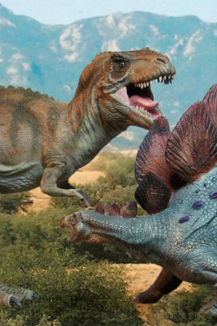 Человечество от тираннозавров, которые обитали 66–67 млн. лет назад, отделяет меньше времени, чем тираннозавров от стегозавров, ходивших по планете 150–155 млн. лет назад. 