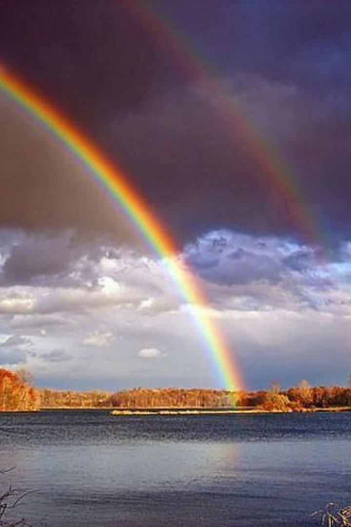 Хотя многоцветный спектр радуги непрерывен, по традиции в нём выделяют 7 цветов. 