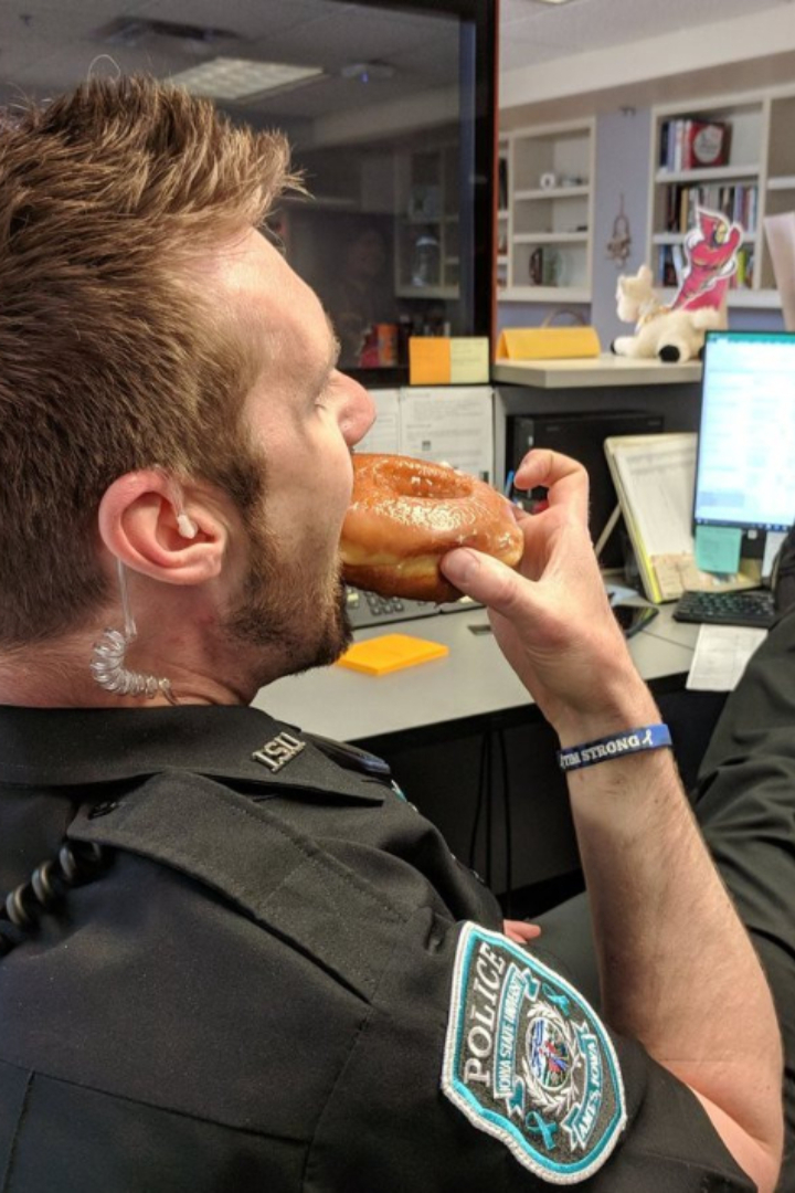 Согласно стереотипу, прежде всего киношному, американские полицейские больше всего любят пончики. 