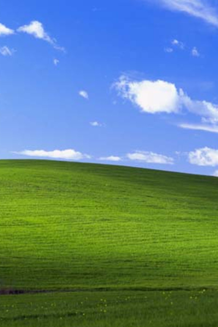 В качестве стандартного фона рабочего стола Windows XP была выбрана сделанная в Калифорнии фотография «Безмятежность».