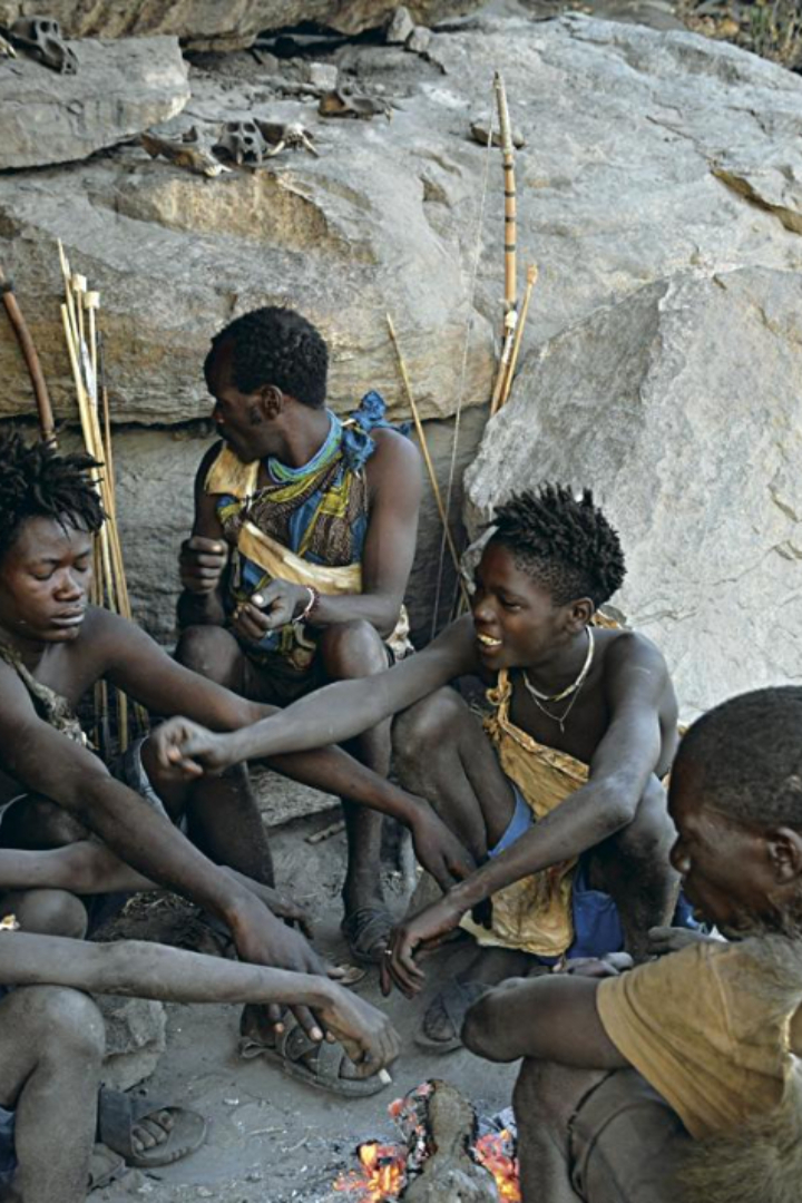 Антропологи исследовали режимы сна и бодрствования у живущего в Танзании племени хадза, уклад жизни которого до сих пор можно назвать первобытнообщинным строем. 