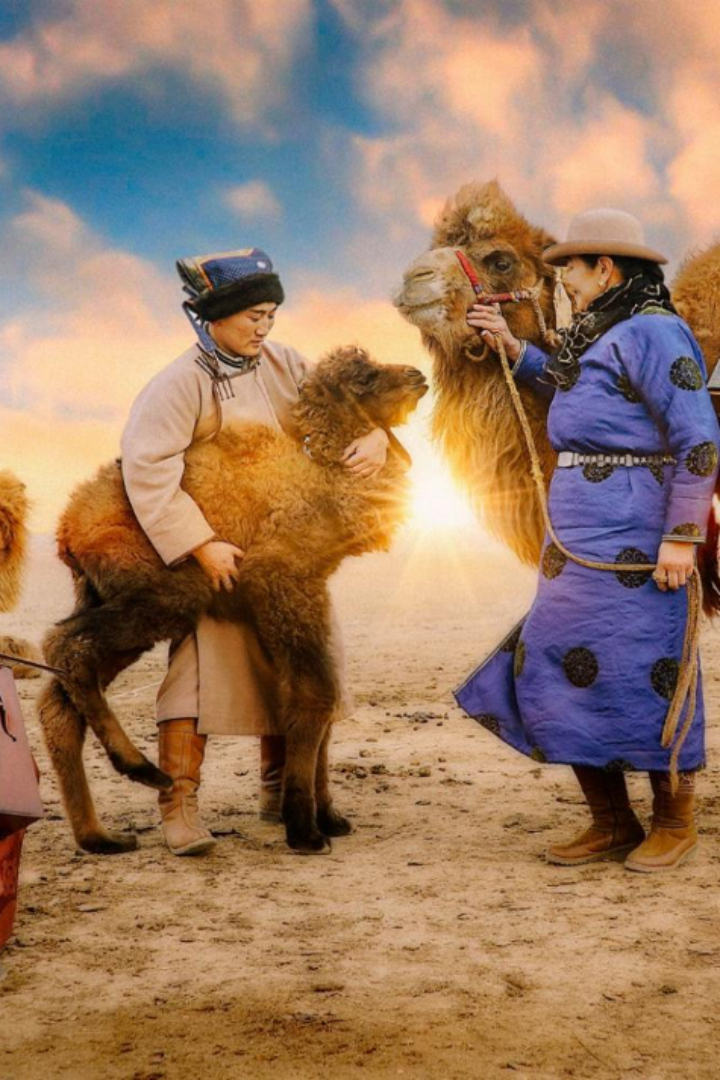 У монголов с давних времён существует обряд задабривания верблюдиц.