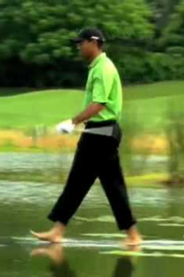 После выхода игры Tiger Woods PGA Tour 08 компания-разработчик Electronic Arts получила много жалоб от геймеров на то, что можно ударить по мячу, лежащему на поверхности водоёма. 