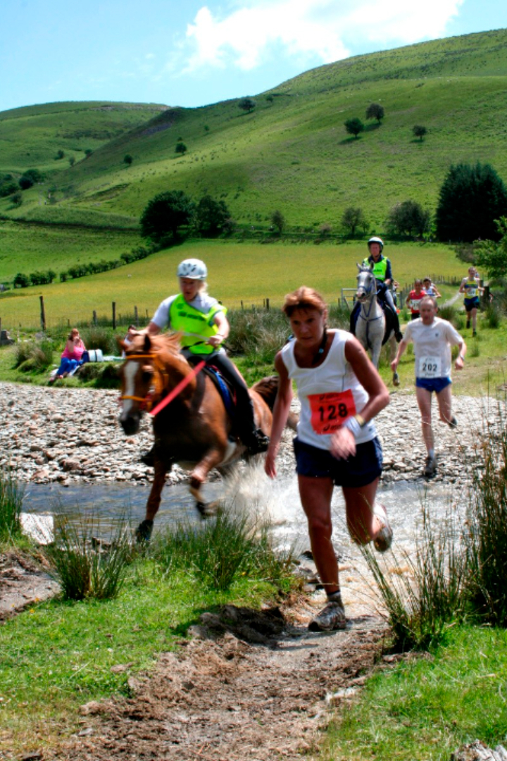 Начиная с 1980 года в Уэльсе проходит ежегодный марафон по пересечённой местности длиной 35 км, в котором люди соревнуются одновременно с жокеями на лошадях.