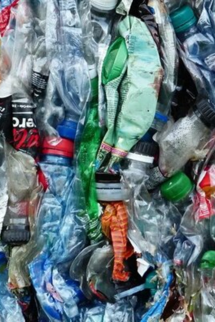 Исследователи из Калифорнийского университета в Сан-Диего разработали «живой пластик», способный значительно уменьшить загрязнение окружающей среды пластиком.